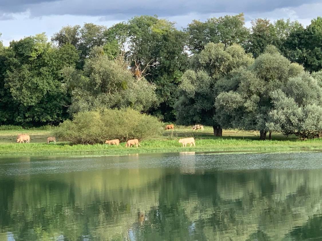 Les Annexes Villa Verdun-sur-le-Doubs Bagian luar foto