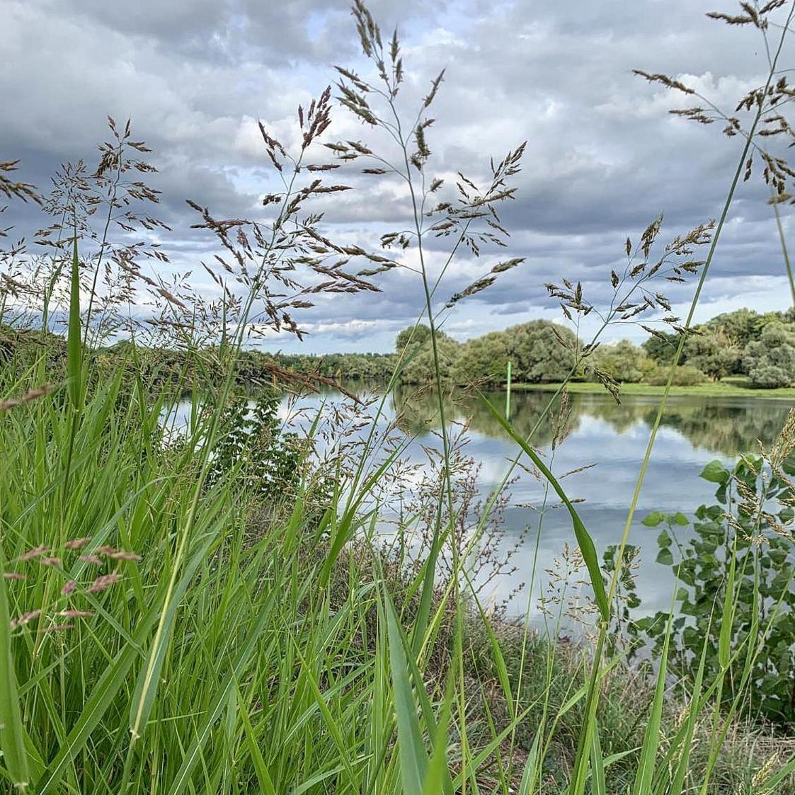 Les Annexes Villa Verdun-sur-le-Doubs Bagian luar foto