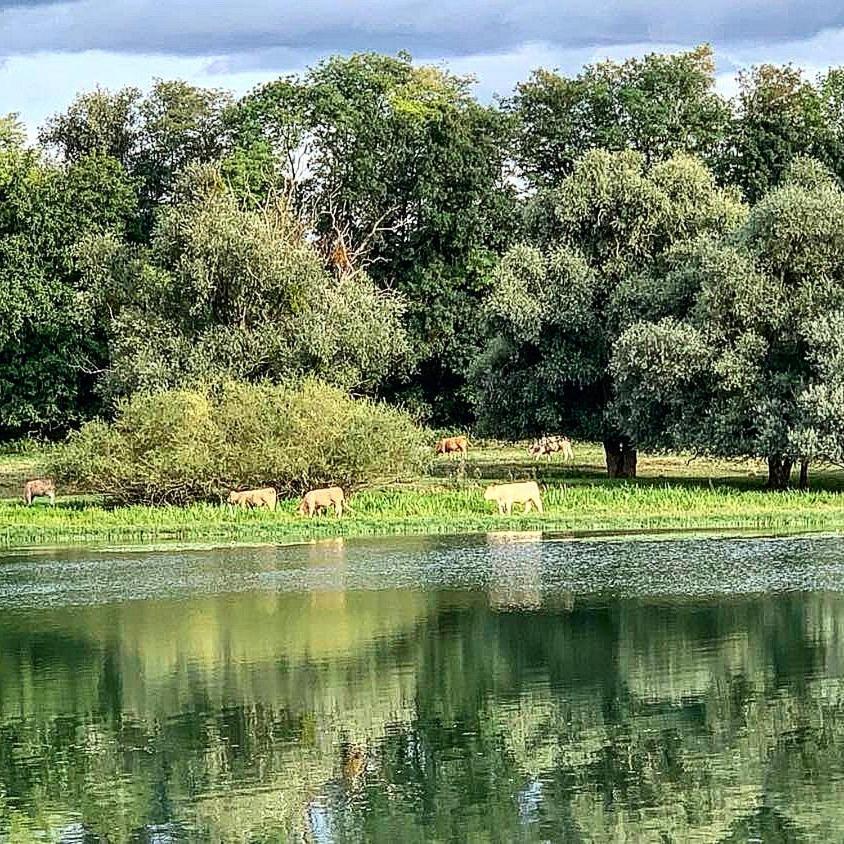 Les Annexes Villa Verdun-sur-le-Doubs Bagian luar foto